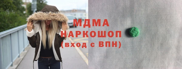 индика Алексин