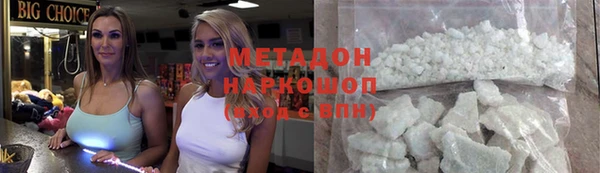 индика Алексин