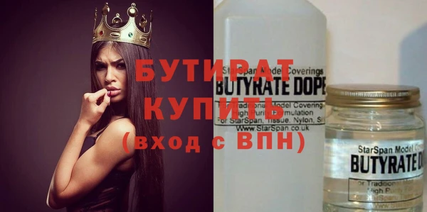 индика Алексин