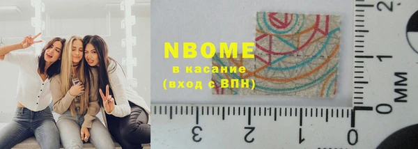 индика Алексин