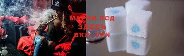 индика Алексин