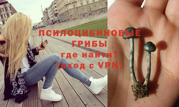 mix Алексеевка